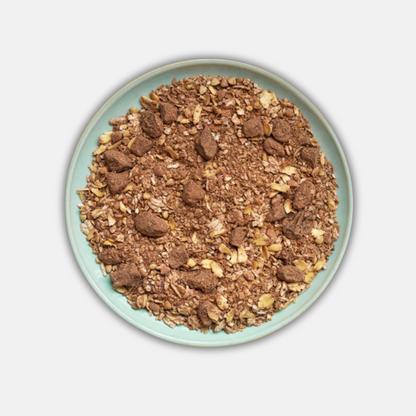 Gekeimtes BIO Porridge mit Kakao und Trockenobst (1kg)